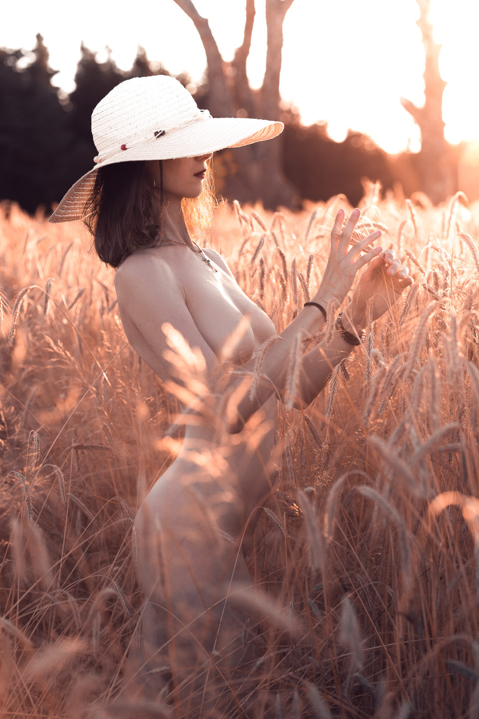 Photographies de nu artistique